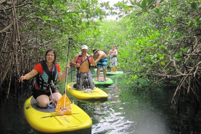 Paddleboard Cenote Tour - Private transfers in central Tulum