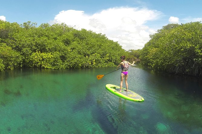 Paddleboard Cenote Tour - Who should book this experience