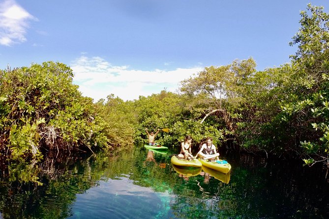 Paddleboard Cenote Tour - What the 1.5-hour water stop feels like