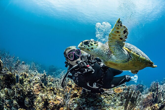 PADI Open Water Diver Course in Playa del Carmen - Five pool sessions where confidence is built