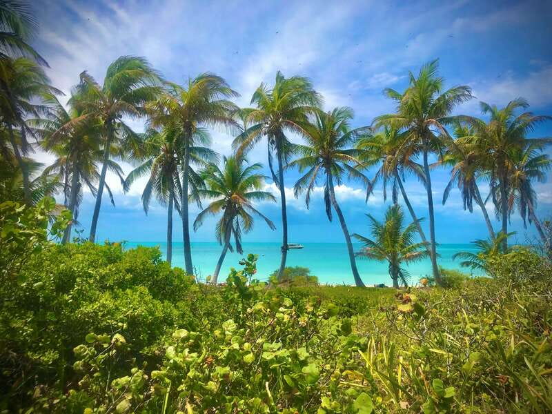 PARADISE ISLAND- ISLA CONTOY AND ISLA MUJERES - Key points to know before you book