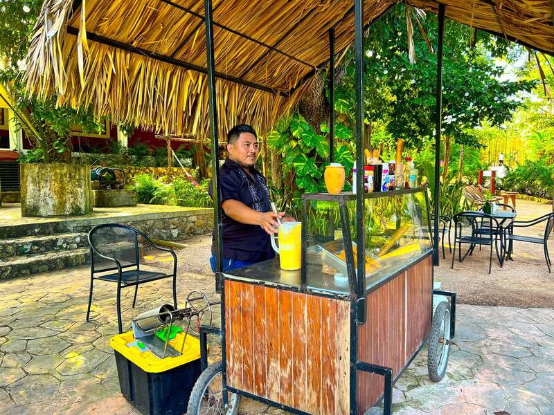 Playa del Carmen: Chichen Itza, Valladolid, Cenote & Buffet - Walking through Chichen Itza in 2.5 hours