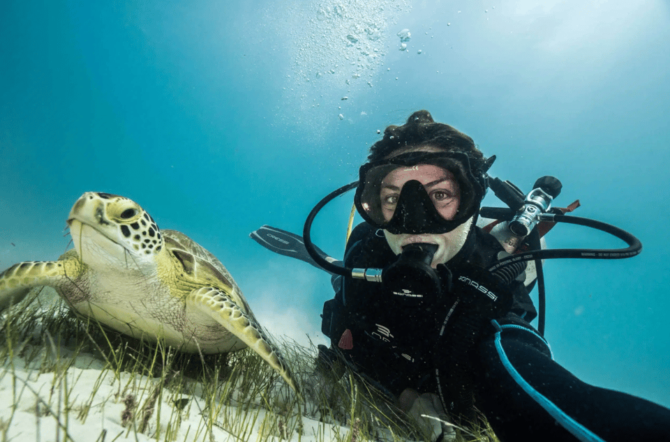 Playa del Carmen: Guided Reef Diving for Certified Divers - Why the small group matters