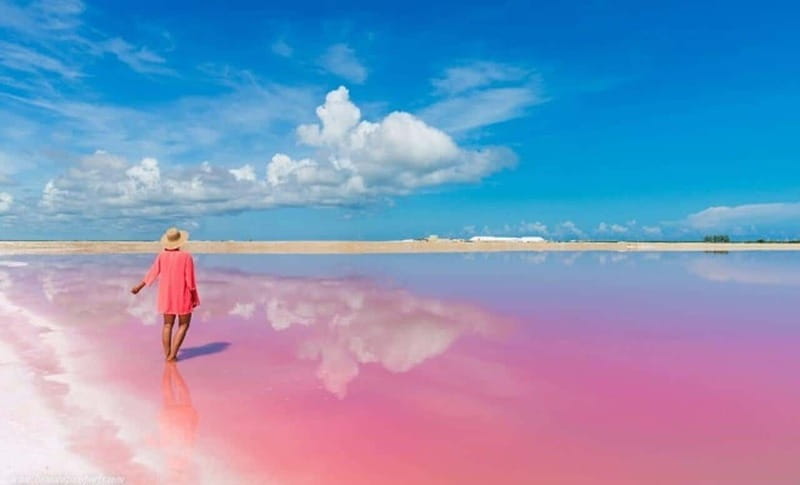 Playa del Carmen: Rio Lagartos and Las Coloradas Tour - Who should book this day trip