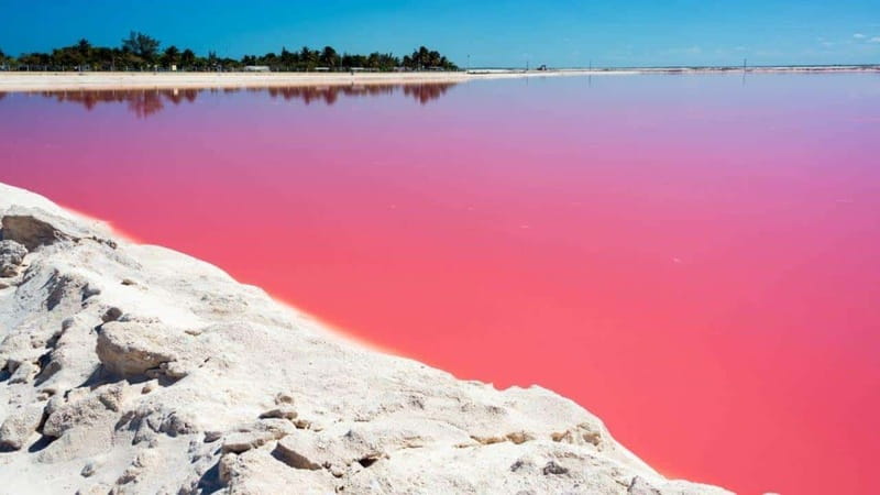 Playa del Carmen: Rio Lagartos and Las Coloradas Tour - The long road from Playa del Carmen to Yucatan’s pink ponds