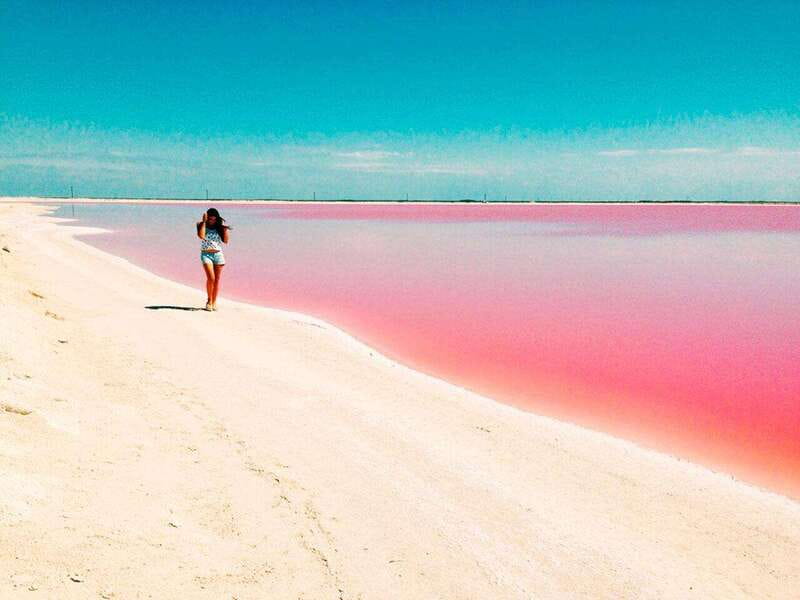 Playa del Carmen: Rio Lagartos and Las Coloradas Tour - The Mayan mud bath and freshwater rinse