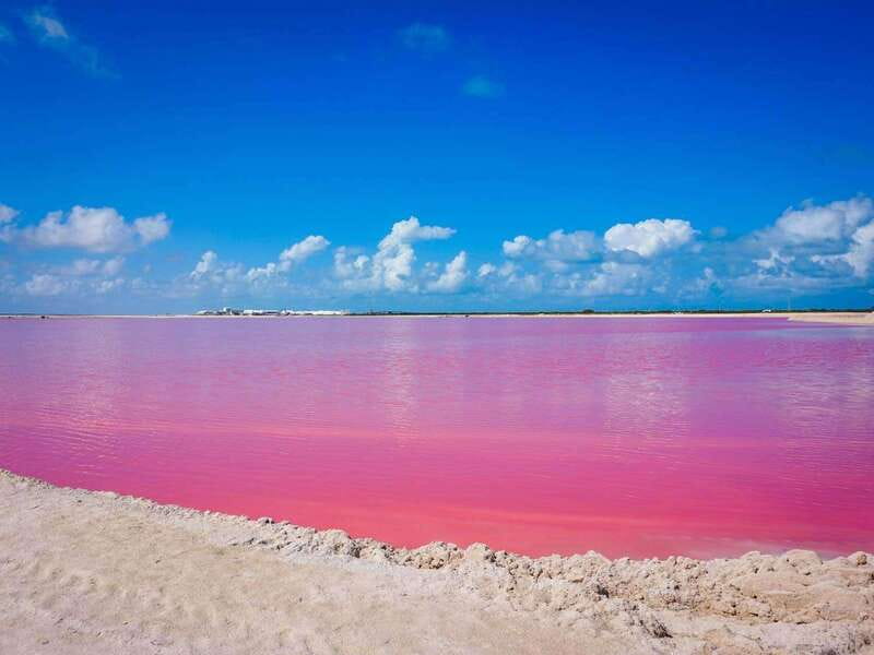 Playa del Carmen: Rio Lagartos and Las Coloradas Tour - What the $142 price really covers