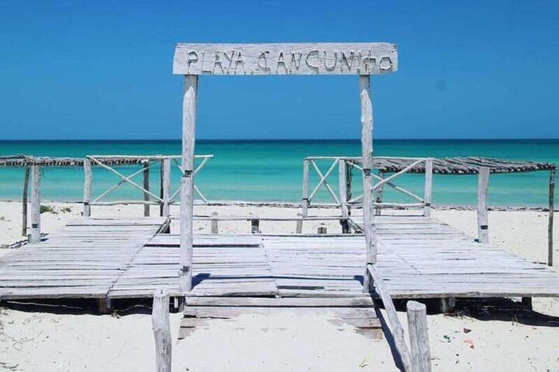 Playa del Carmen: Rio Lagartos and Las Coloradas Tour - Las Coloradas and the science behind the pink water