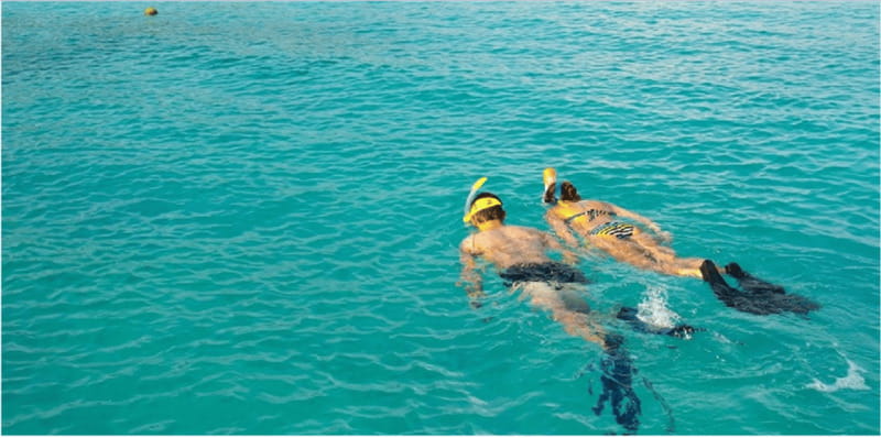 Playa del Carmen: Snorkel Tour at Local Reef - Meeting at Calle 8 Norte and 25 Avenida Norte