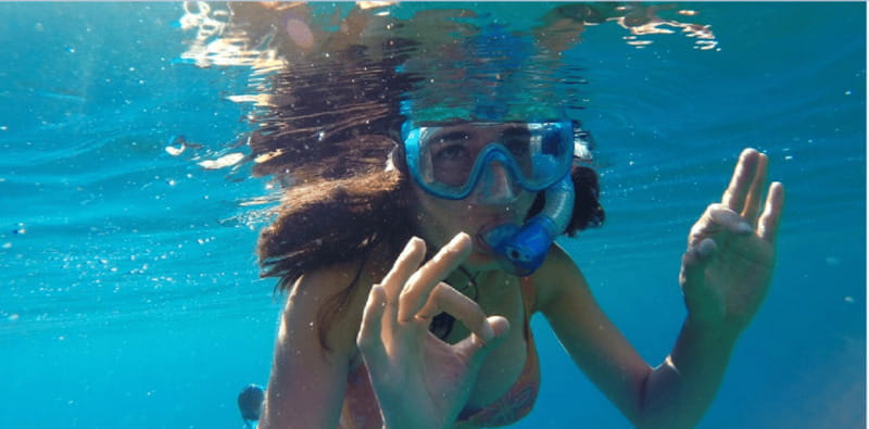 Playa del Carmen: Snorkel Tour at Local Reef - Looking for fish, sea stars, and stingrays