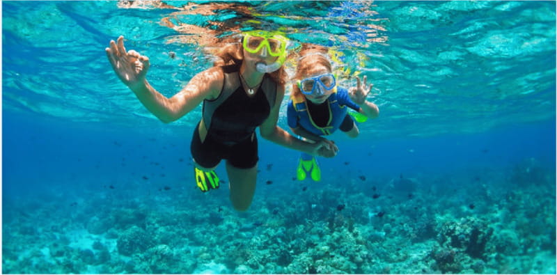 Playa del Carmen: Snorkel Tour at Local Reef - The value of $70 plus the marine fee