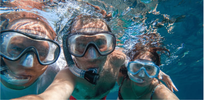 Playa del Carmen: Snorkel Tour at Local Reef - A shallow reef made for first-time snorkelers