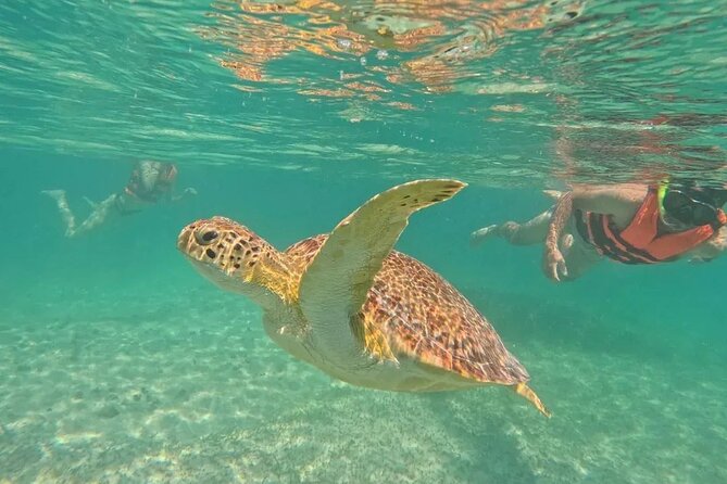 Playa del Carmen Tour Akumal Swimming With Turtles And Lagoon Yal Ku - Cooling off in Yal-Kú Lagoon for two hours