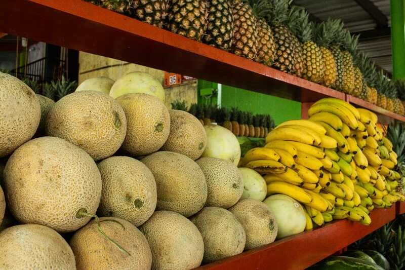 Playa del Carmen: Vegan Food Walking Tour - Key points to know before booking