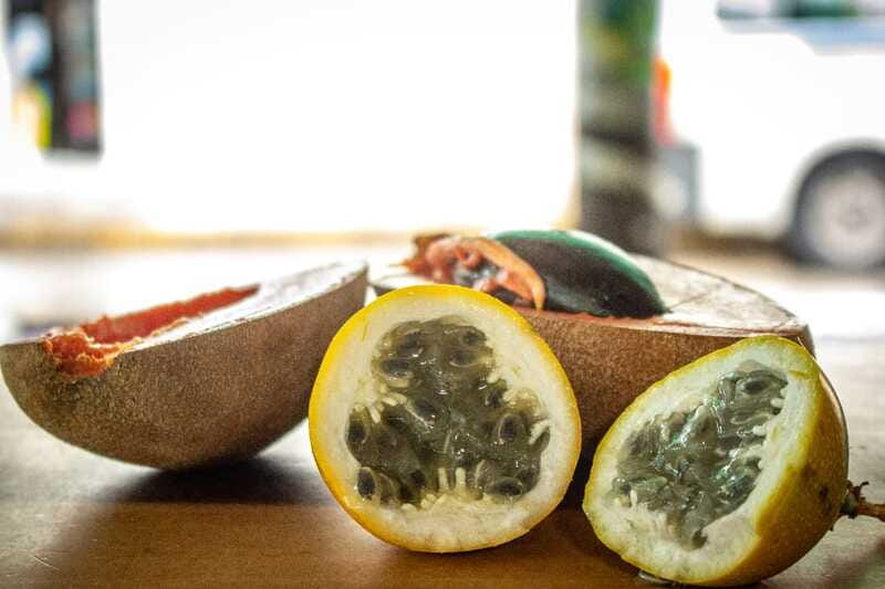 Playa del Carmen: Vegan Food Walking Tour - Meeting at Juarez Avenue and 10th Avenue