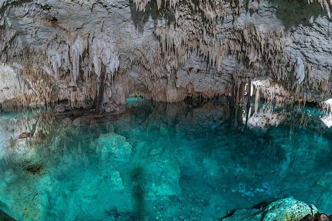 Private 2-Cenote Snorkeling Tour with Authentic Mayan Lunch - A Mayan lunch near Parque Dos Ojos