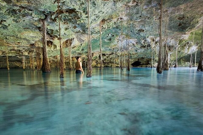 Private 4Cenote Experience, swim in the heart of the Mayan Jungle - Key points at a glance