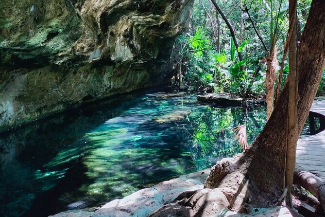 Private 4Cenote Experience, swim in the heart of the Mayan Jungle - Four cenotes, one half-day in the jungle