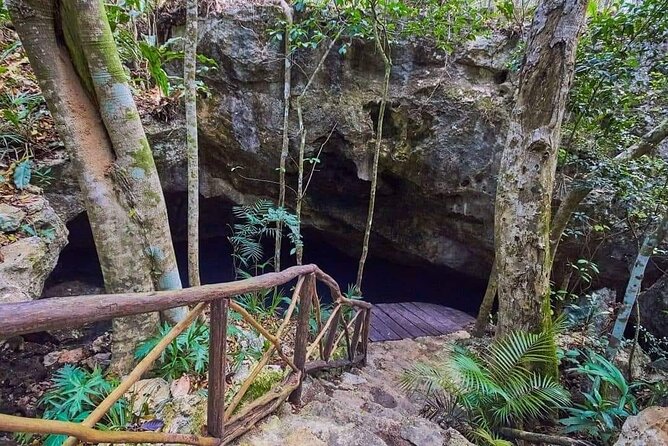 Private 4Cenote Experience, swim in the heart of the Mayan Jungle - Swimming and snorkeling in natural water