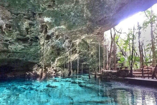 Private 4Cenote Experience, swim in the heart of the Mayan Jungle - Why the guide matters on a private tour