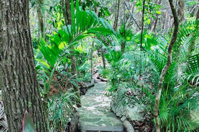 Private 4Cenote Experience, swim in the heart of the Mayan Jungle - Who should book this experience?