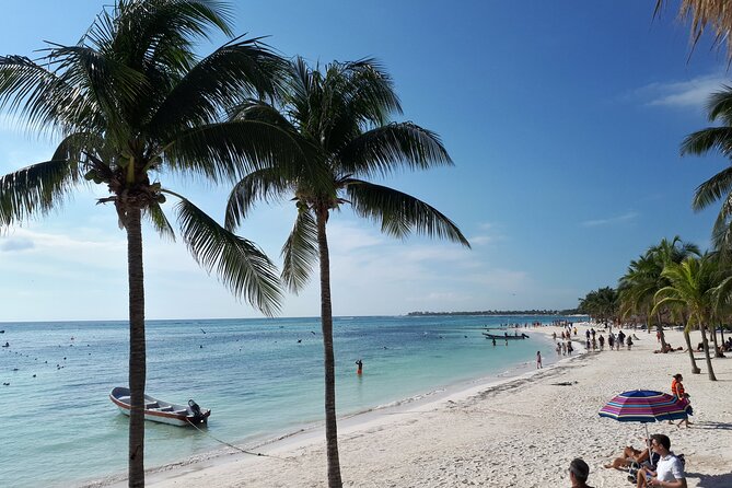 Private Akumal & Cenotes tour - Lunch, drinks, and the best part of the day