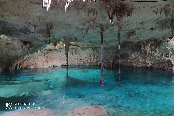 Private Akumal & Cenotes tour - What the private guide adds