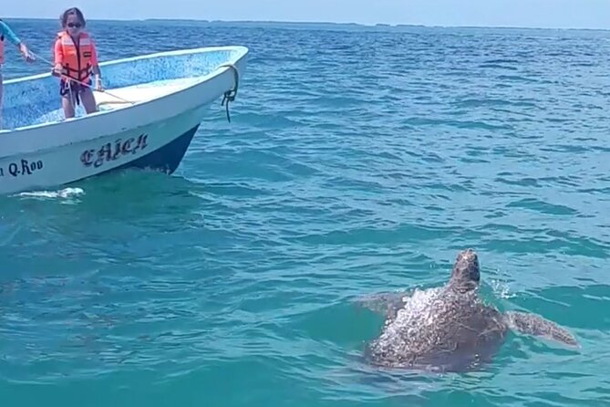 Private Akumal & Cenotes tour - Is $242 per person a good value?