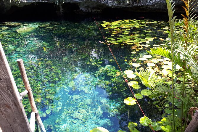 Private Akumal & Cenotes tour - Timing, pickup, and practical planning