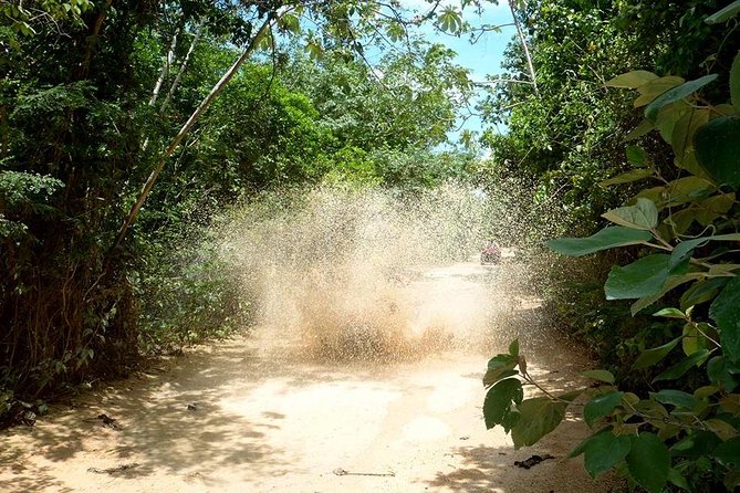 Private ATV Jungle Explorer Tour - What makes the private format worth $119