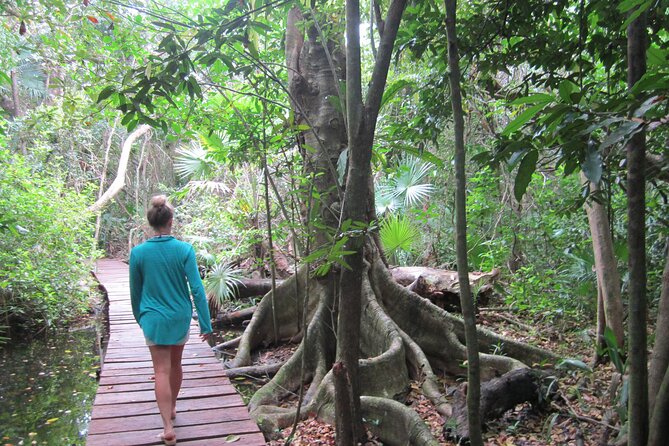 Private Birdwatching Tour in Sian Ka'an Muyil - What the $218 price includes