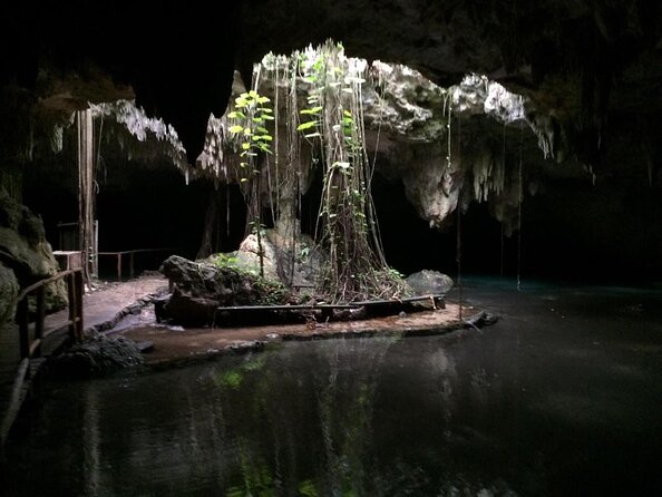 Private Cenote & Cave – Playa del Carmen, Mayan Culture & Fossils - Key points to know before you book