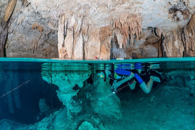 Private Cenote Snorkeling Tour – Tulum’s Hidden Gems - Two cenotes, two very different moods