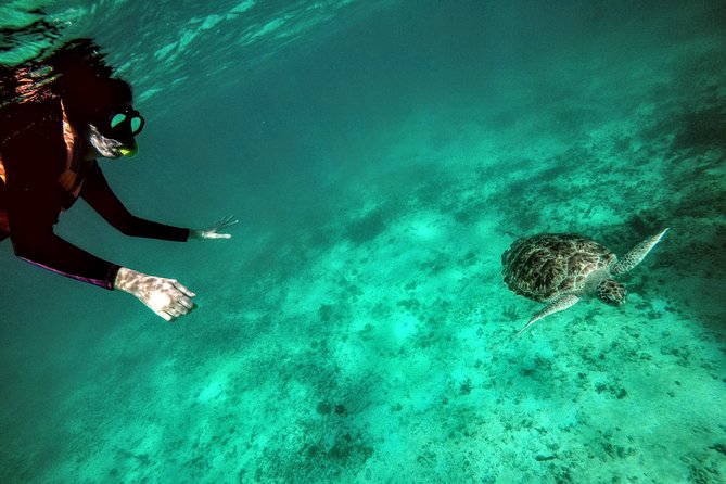 Private Cenote & Snorkeling Tour with Turtles in Akumal - Taak Bi Ha: a clear-water cavern in the jungle