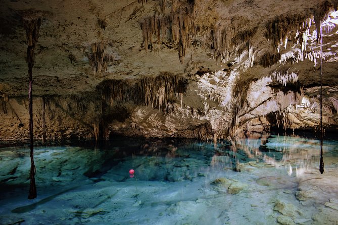 Private Cenote & Snorkeling Tour with Turtles in Akumal - What the $180 price includes