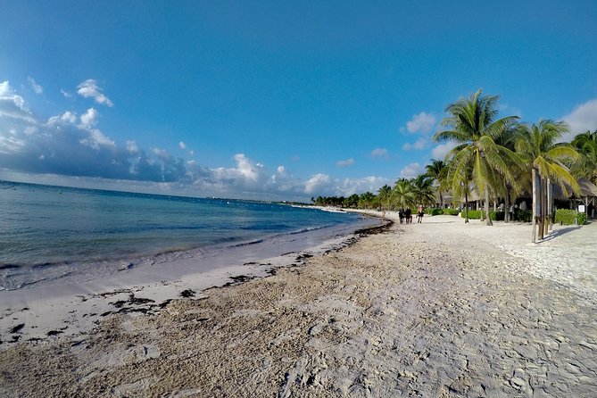 Private Cenote & Snorkeling Tour with Turtles in Akumal - Akumal Bay and the search for green turtles
