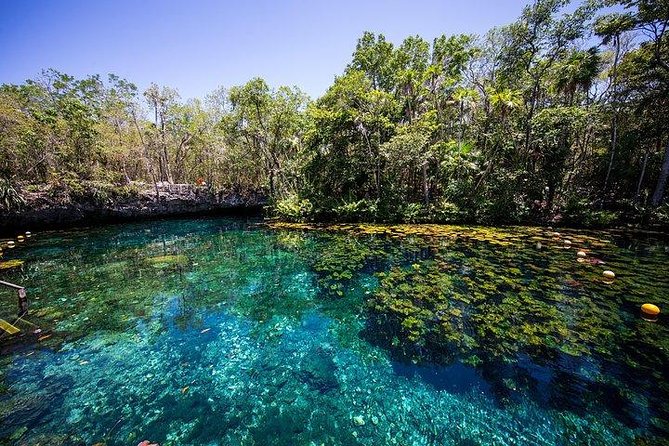 Private Coba & Jungle Adventure: Zipline, Rappel & Cenote - What the guides add to the day