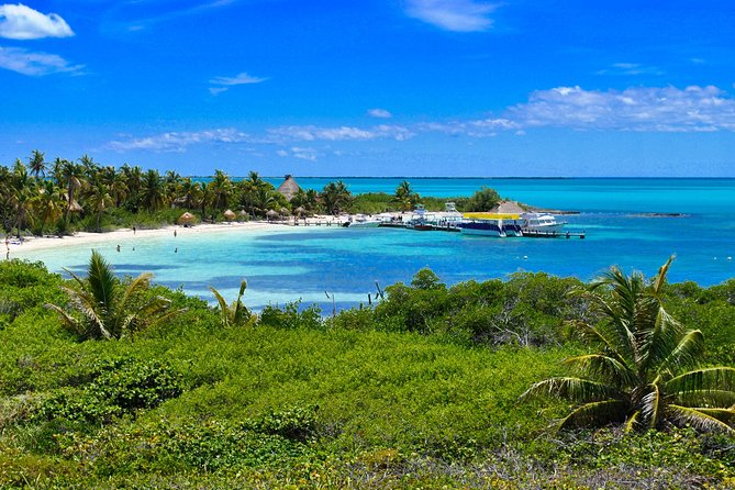 Private Escape: Isla Contoy & Isla Mujeres with Snorkeling - Why this private Contoy trip works