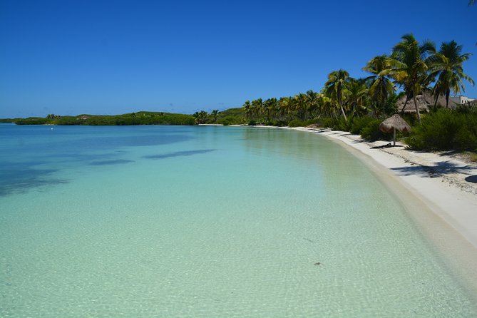 Private Escape: Isla Contoy & Isla Mujeres with Snorkeling - The 40-minute reef snorkeling stop