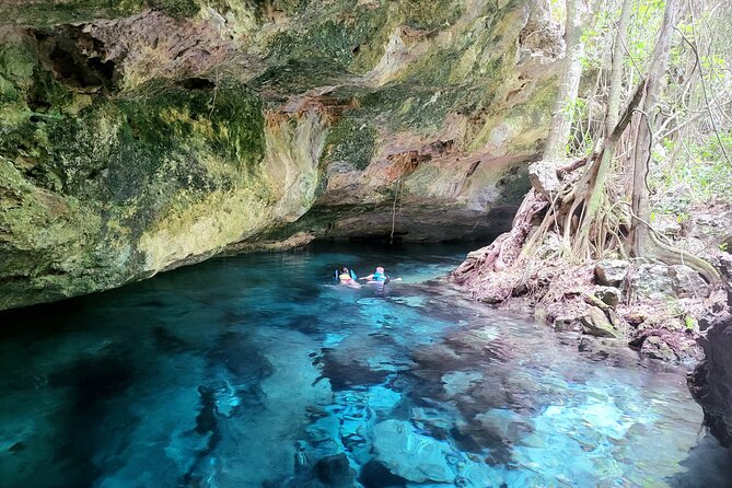 Private experience 5 cenotes at Riviera Maya - Walking through the Mayan jungle