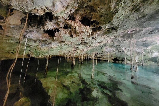 Private experience 5 cenotes at Riviera Maya - What happens before you enter the water