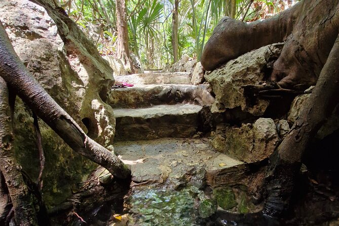 Private experience 5 cenotes at Riviera Maya - Mayan stories that give the water context