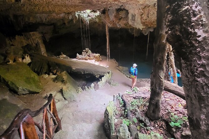 Private experience 5 cenotes at Riviera Maya - Lunch in Playa del Carmen, not a standard box