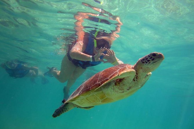 Private Experience: Akumal sea turtles encounter and Yal-kú lagoon colorfull fish snorkel. - Akumal Bay and its green turtles