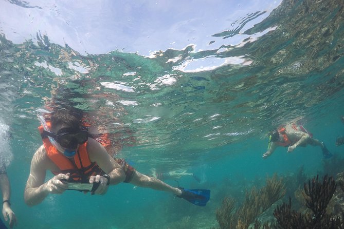 Private Fishing Tour in Yacht Playa del Carmen - Reef fishing for grouper, snapper, and smaller catches