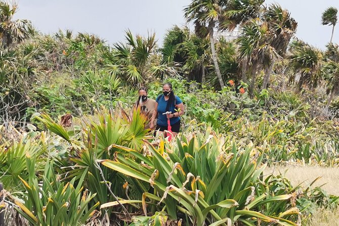 Private Full-Day Guided Tulum Coba and Cenote Tour with Lunch - What makes the guide important