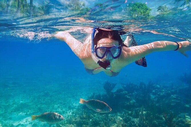 Private Half Day Tour in Cenote Cave and Swimming with Turtles - Entering Cenote Nohoch from the jungle