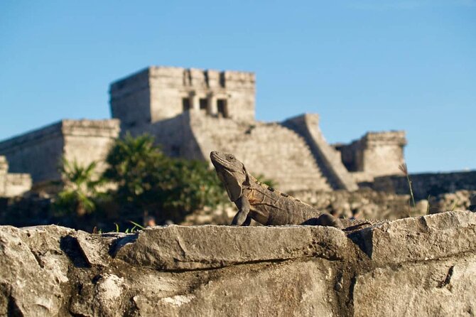 Private Half Day Tour to Tulum Temples and Downtown Shopping - Private transport and pickup details