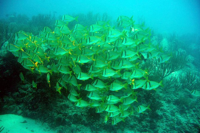 Private Isla Mujeres Adventure & Free Time - What $545 per person really buys