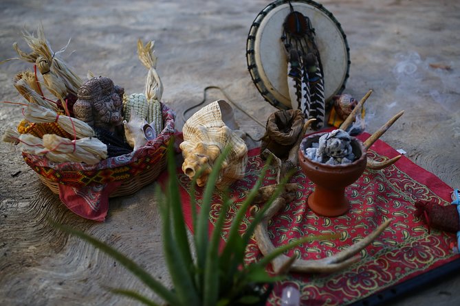 Private or Small-Group Temazcal Maya Ritual from Playa del Carmen - The cold bath, hammock, and evening food